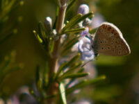 59573_1644821439677_1861687_n